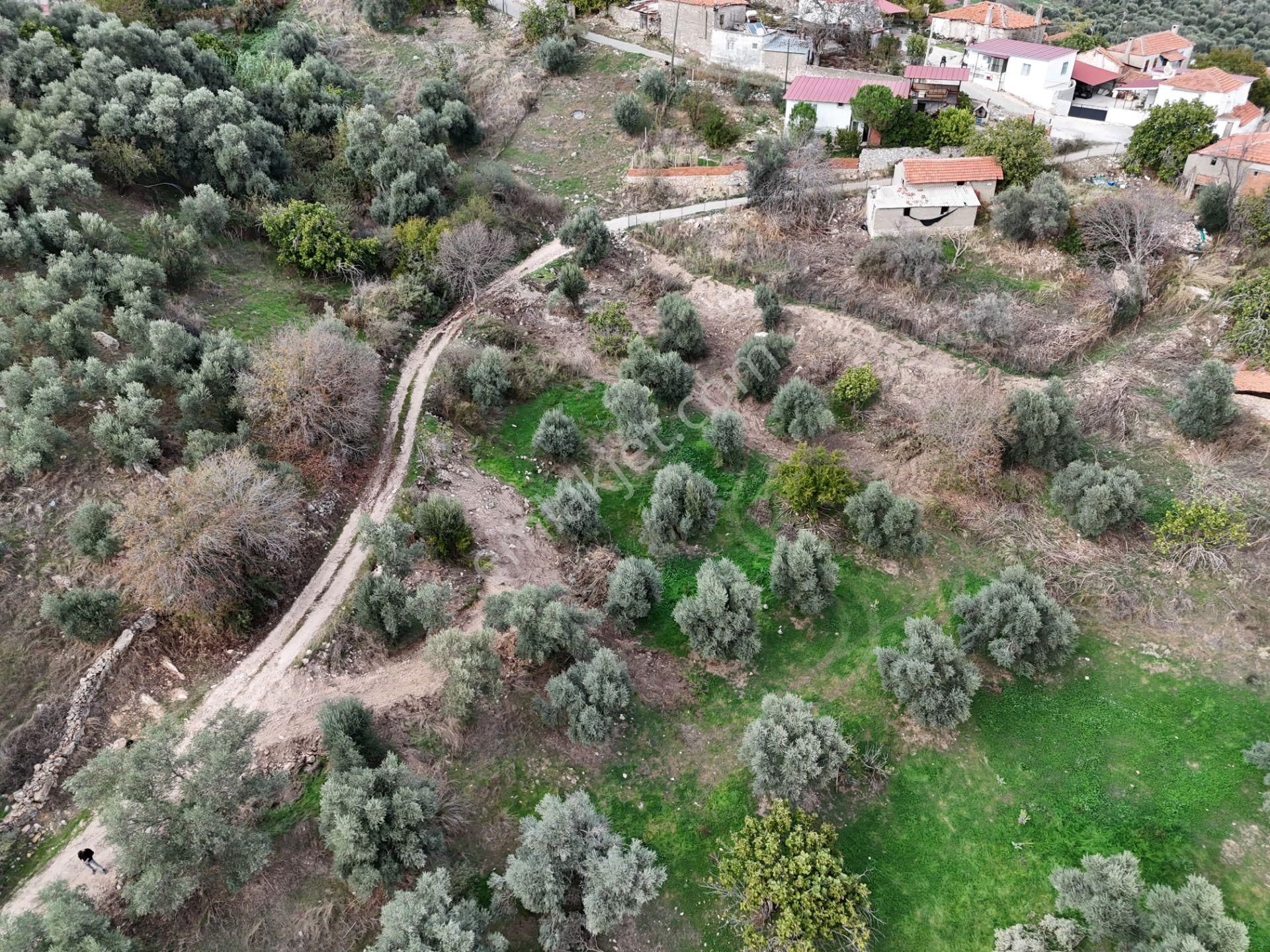 Milas Hisarcık’ta 3 Kat İmkanlı 775 M² Müstakil Arsa - Görsel 18