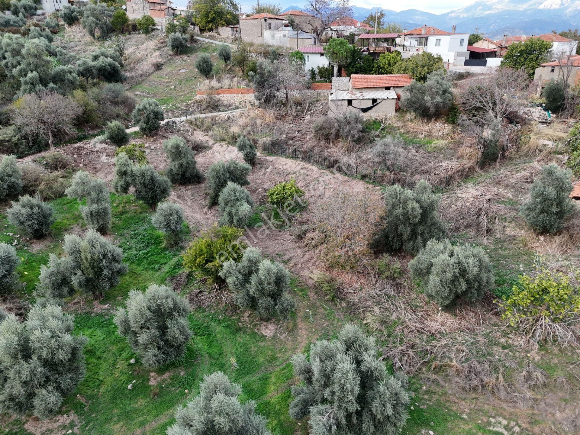 Milas Hisarcık’ta 3 Kat İmkanlı 775 M² Müstakil Arsa - Görsel 12