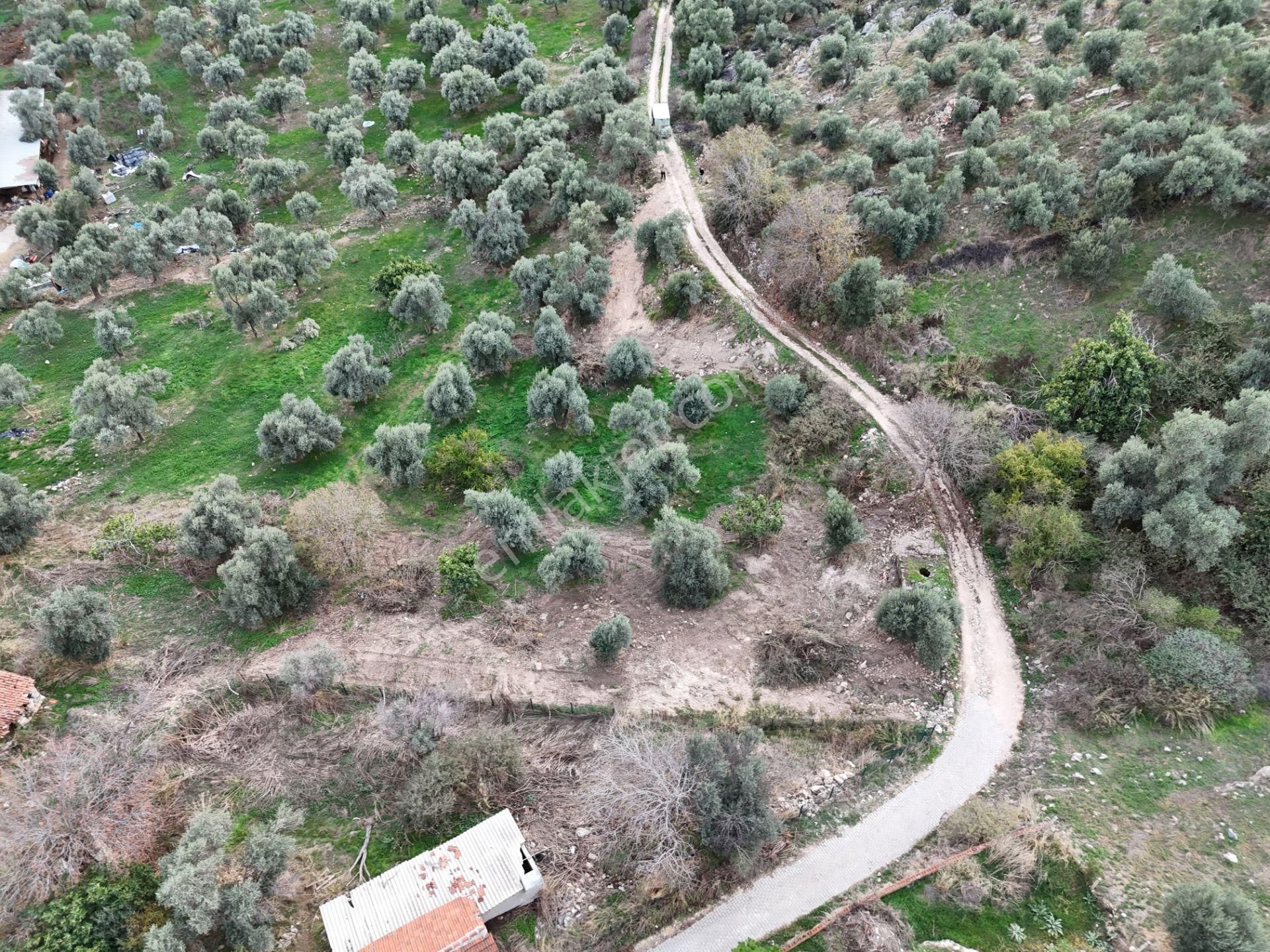Milas Hisarcık’ta 3 Kat İmkanlı 775 M² Müstakil Arsa - Görsel 7