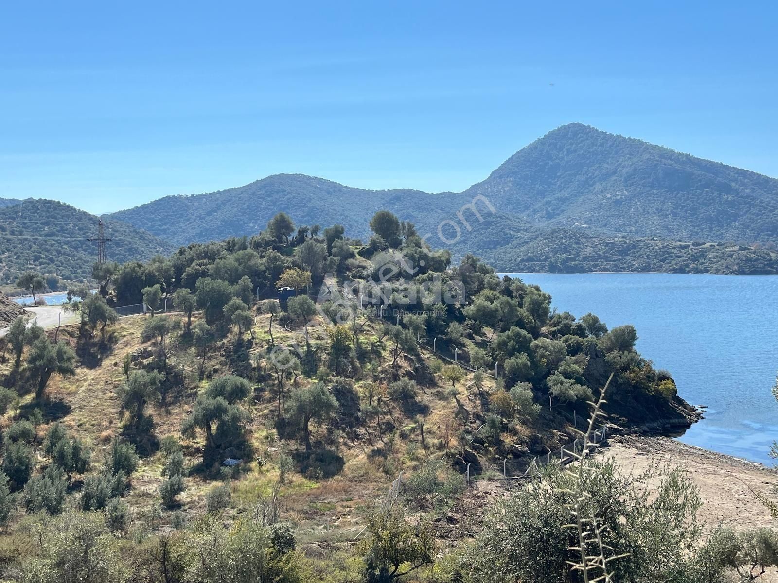 Söke Serçin Köyü'nde Göl Manzaralı Satılık Zeytinlik - Görsel 8