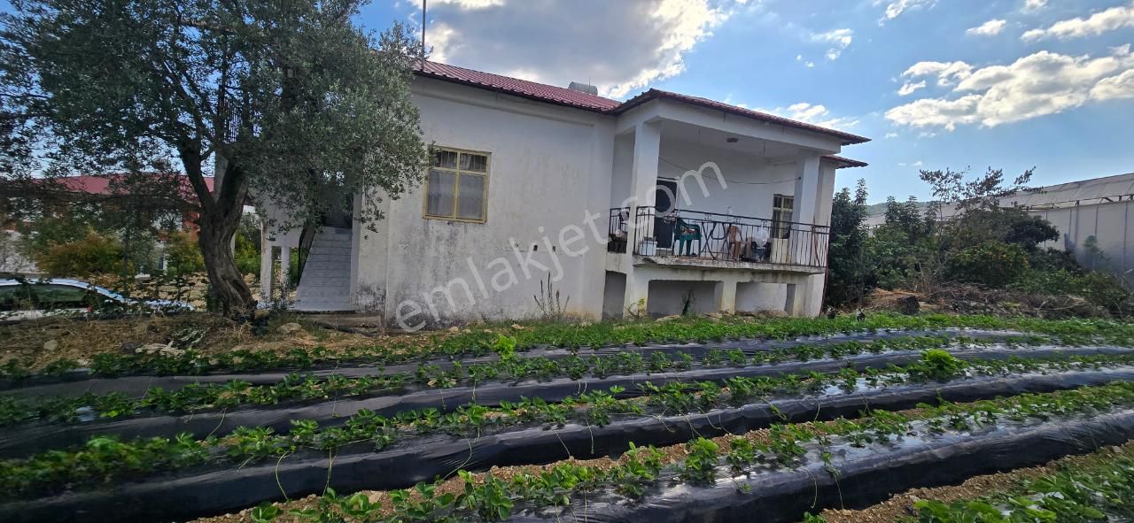 Mersin Anamur Satılık Bahçeli Ev - Görsel 9