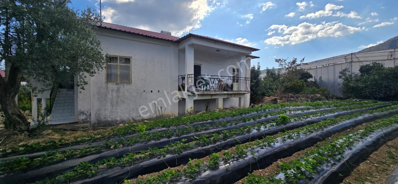 Mersin Anamur Satılık Bahçeli Ev - Görsel 8