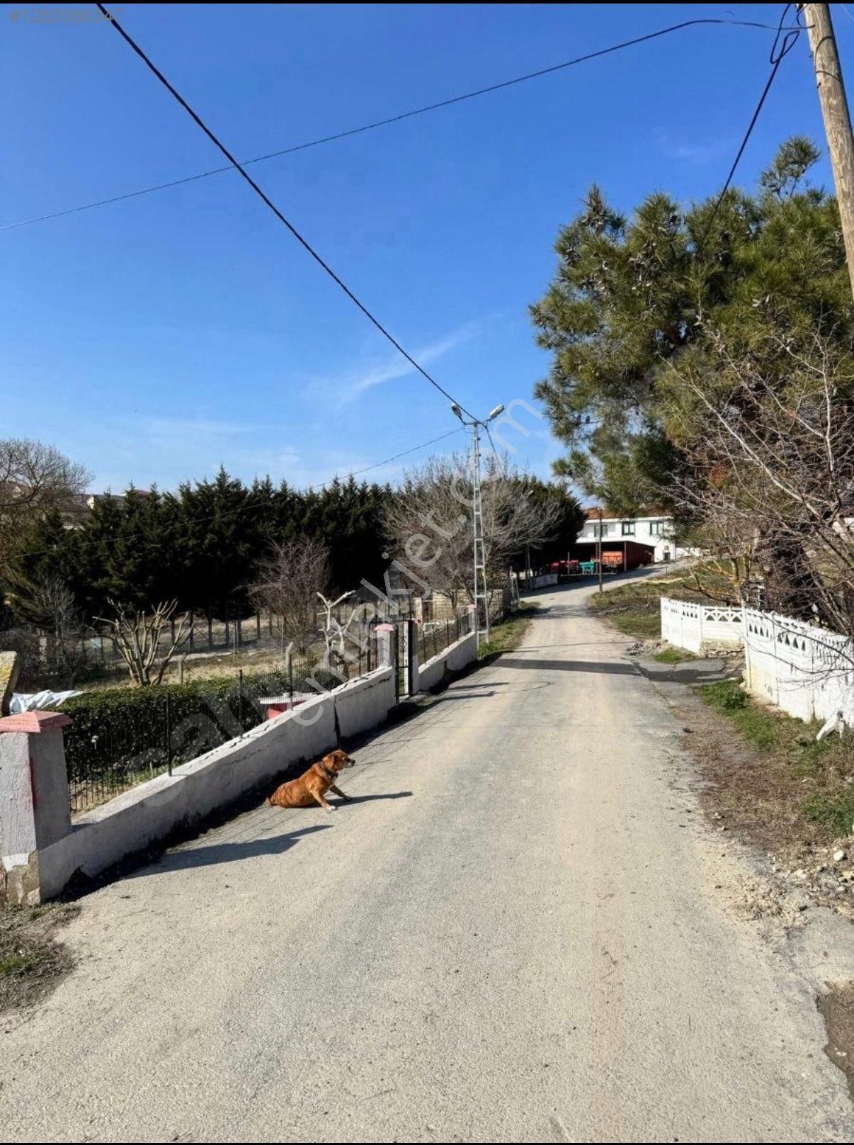 İstanbul Çatalca İhsaniye Köyü - Görsel 2