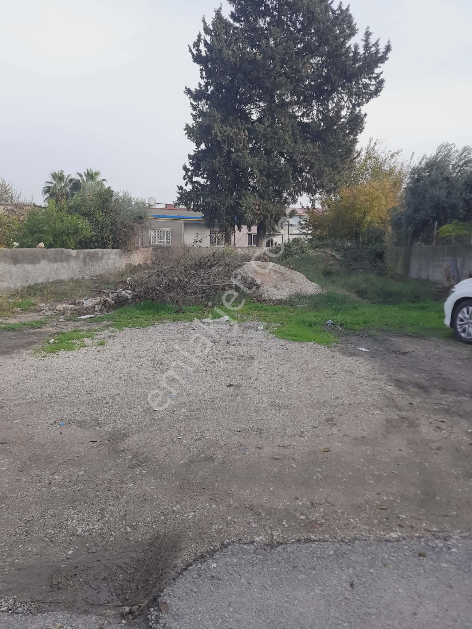 Çınar Emlak'tan Ofis Civarı 392 Ve 381 Mt Satılık Arsalar - Görsel 5