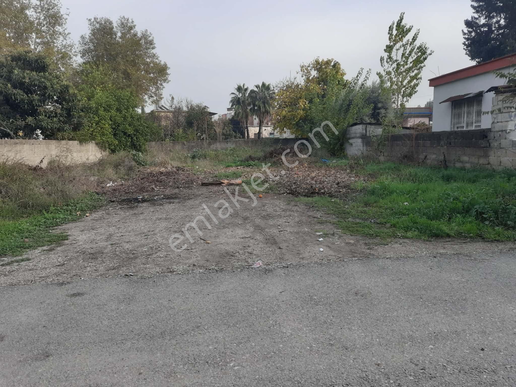 Çınar Emlak'tan Ofis Civarı 392 Ve 381 Mt Satılık Arsalar - Görsel 2