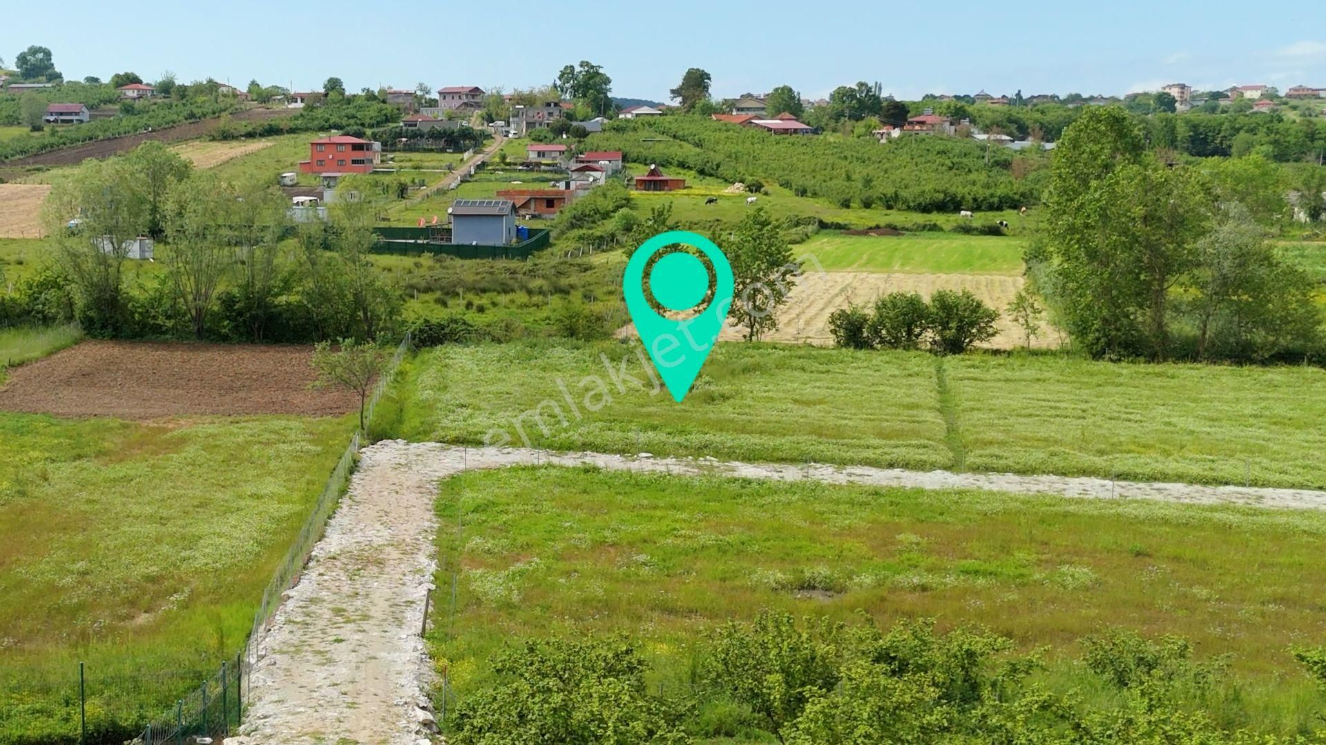 Karaağaç'ta 1089 M2 Satılık Plajlara Yakın - Görsel 2