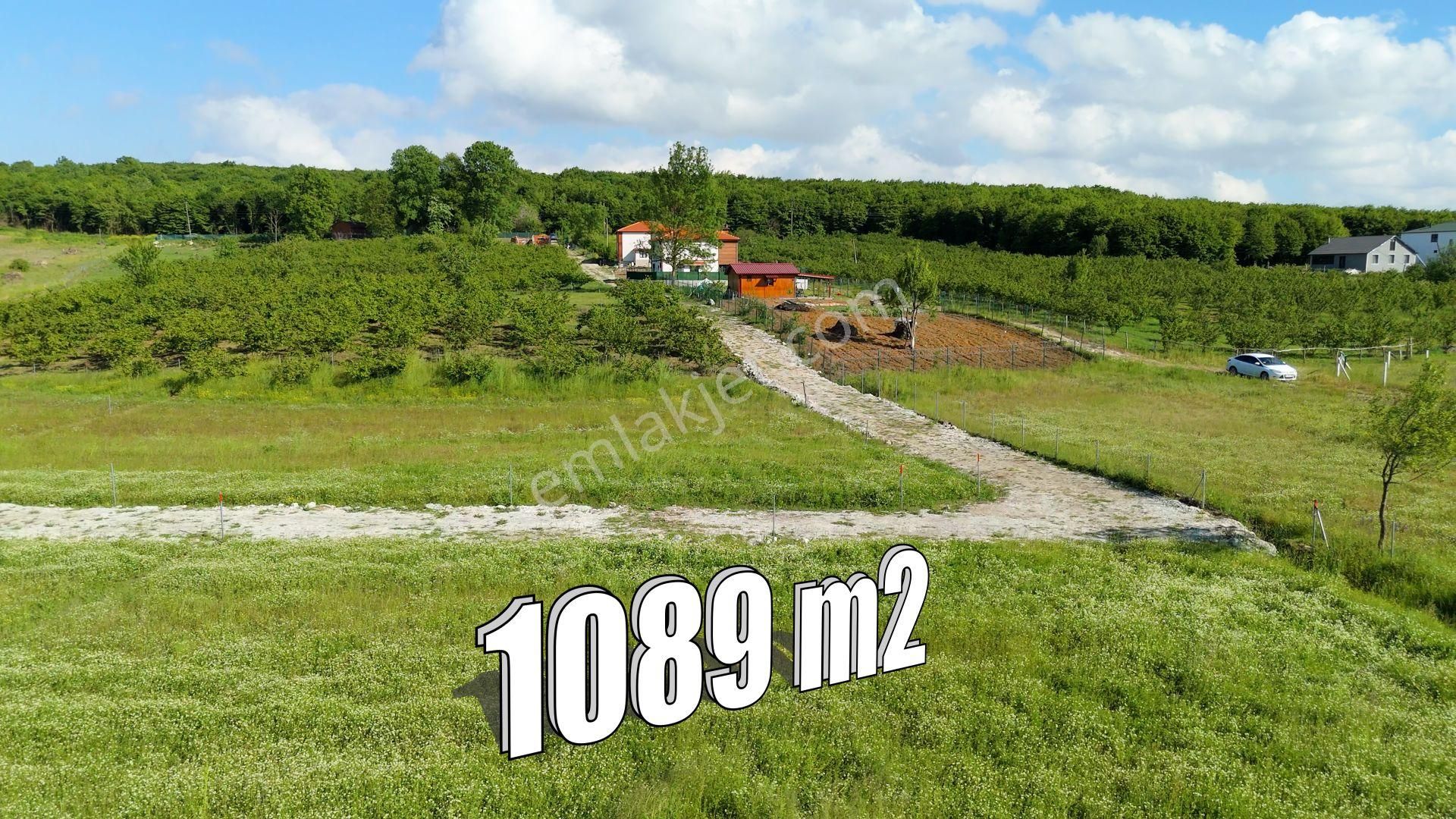 Karaağaç'ta 1089 M2 Satılık Plajlara Yakın - Görsel 3