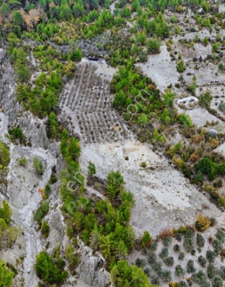 Finike Ernezde Satılık Fırsat Arazi 9571 M2