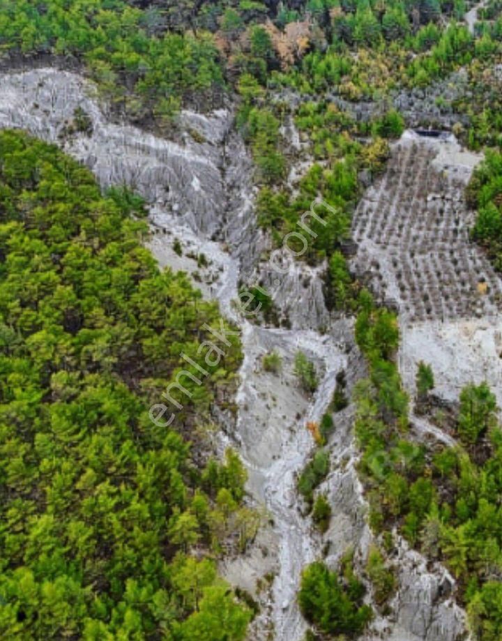 Finike Ernezde Satılık Fırsat Arazi 9571 M2 - Görsel 2