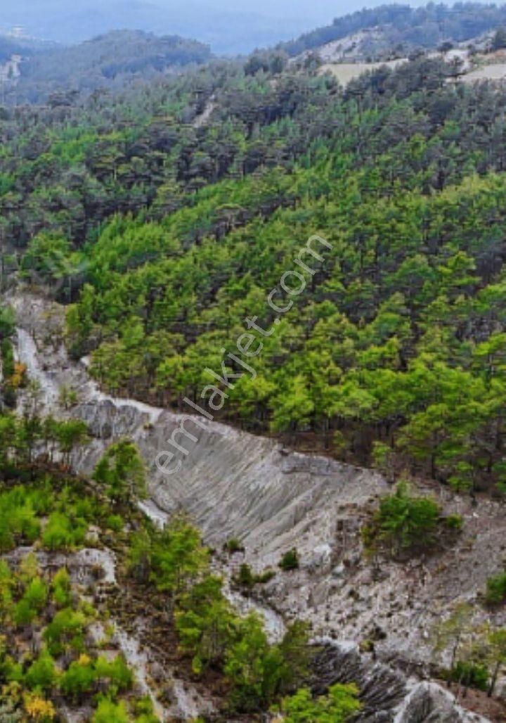 Finike Ernezde Satılık Fırsat Arazi 9571 M2 - Görsel 5