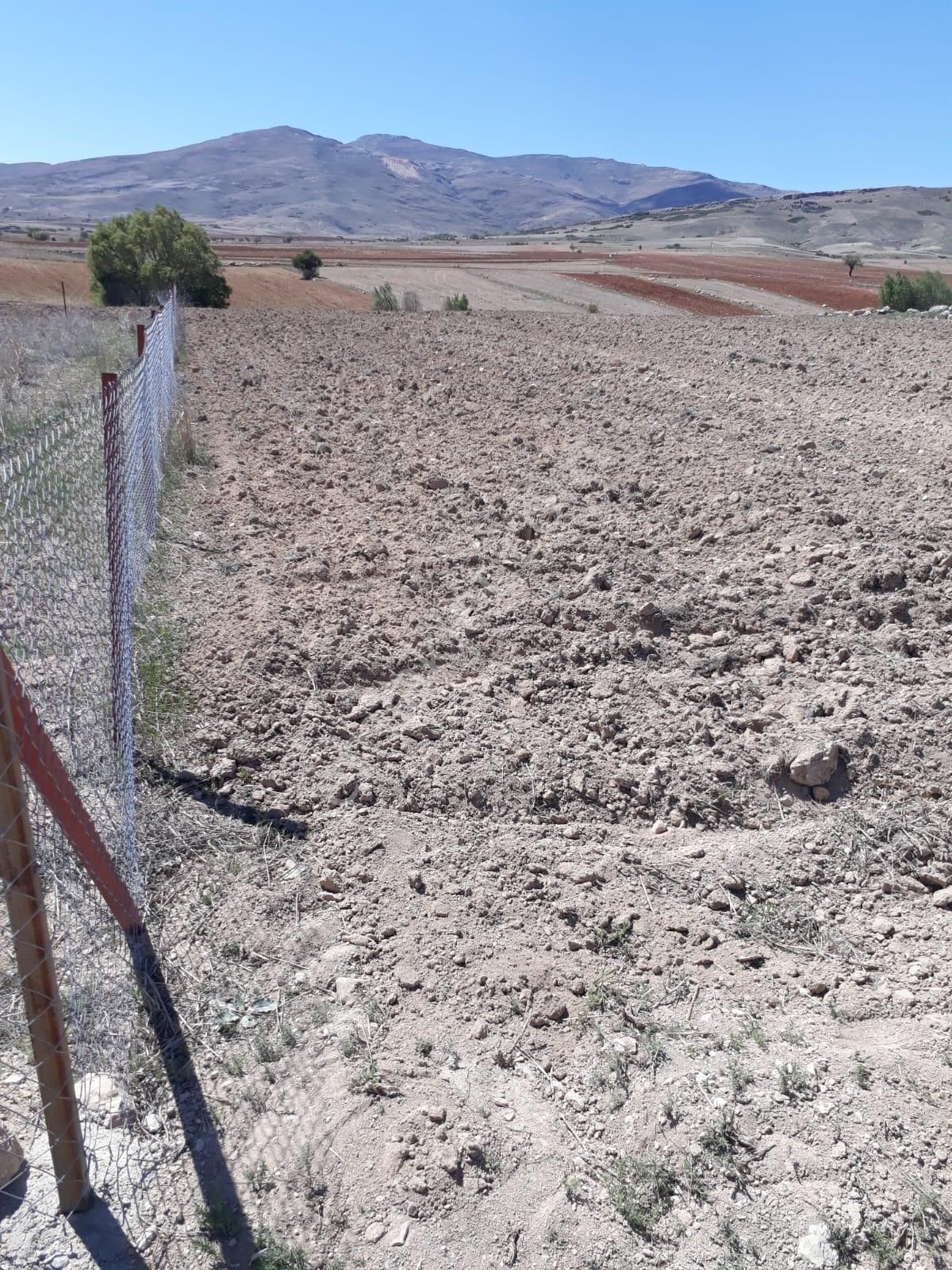 Korkuteli Beğiş Köyü Satılık Tarla - Görsel 8