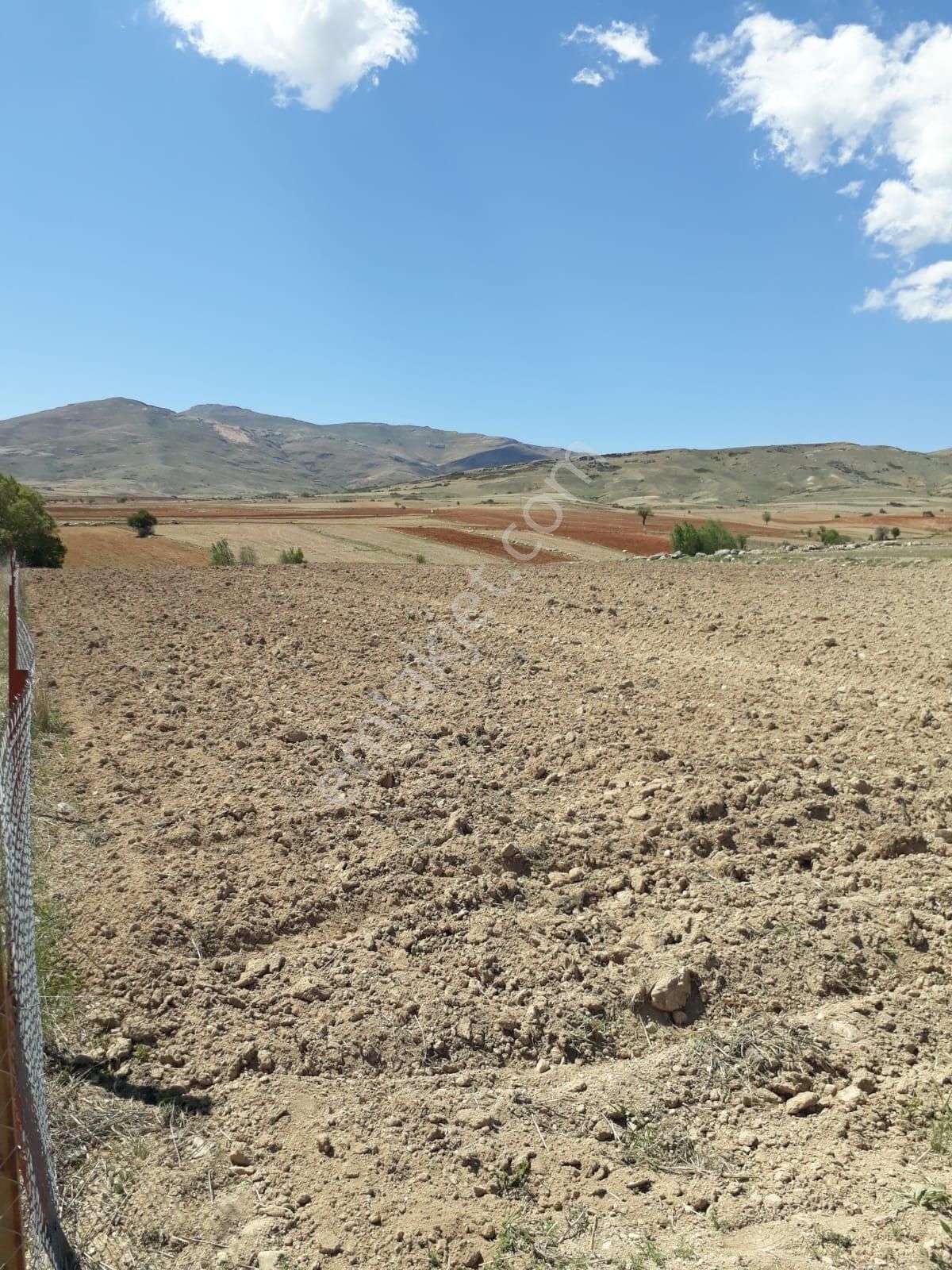 Korkuteli Beğiş Köyü Satılık Tarla - Görsel 7