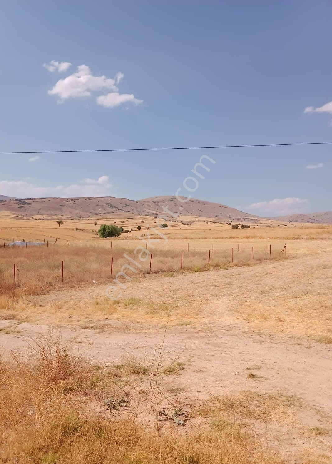 Korkuteli Beğiş Köyü Satılık Tarla - Görsel 6