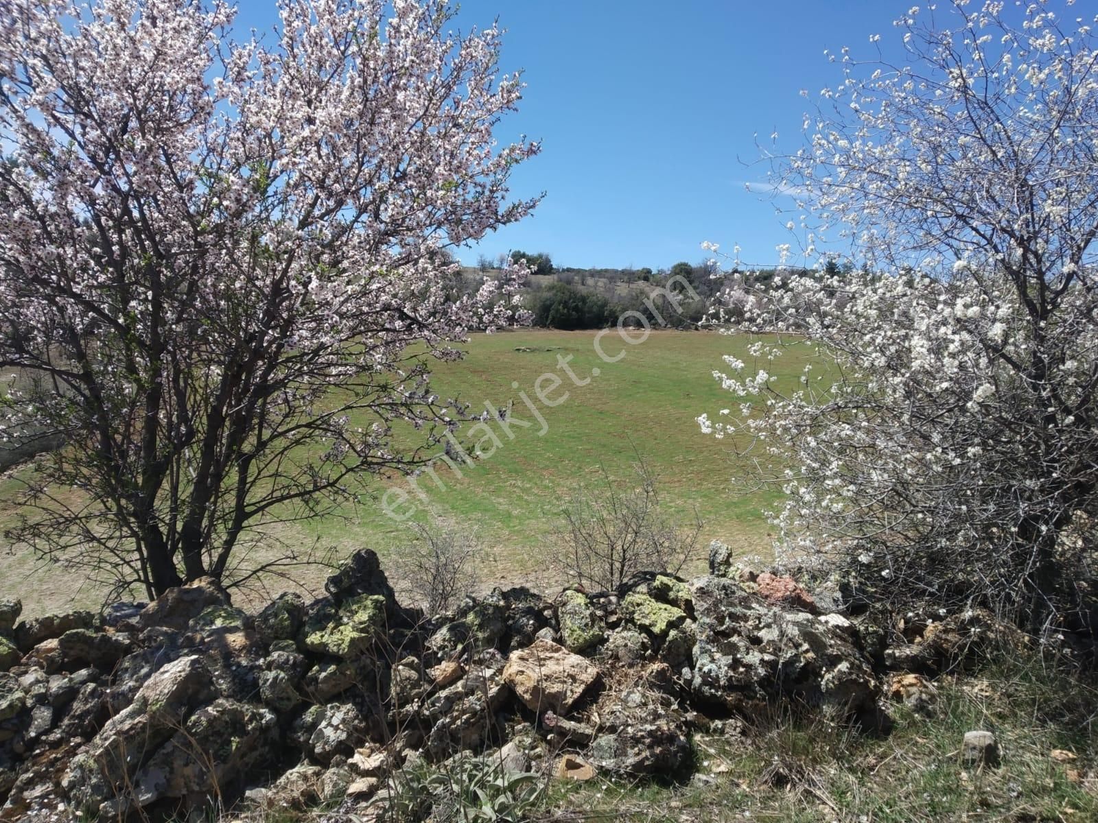 Myra Dan Çal Akkent Mah. De 15.333 M2 Satılık Tarla - Görsel 12