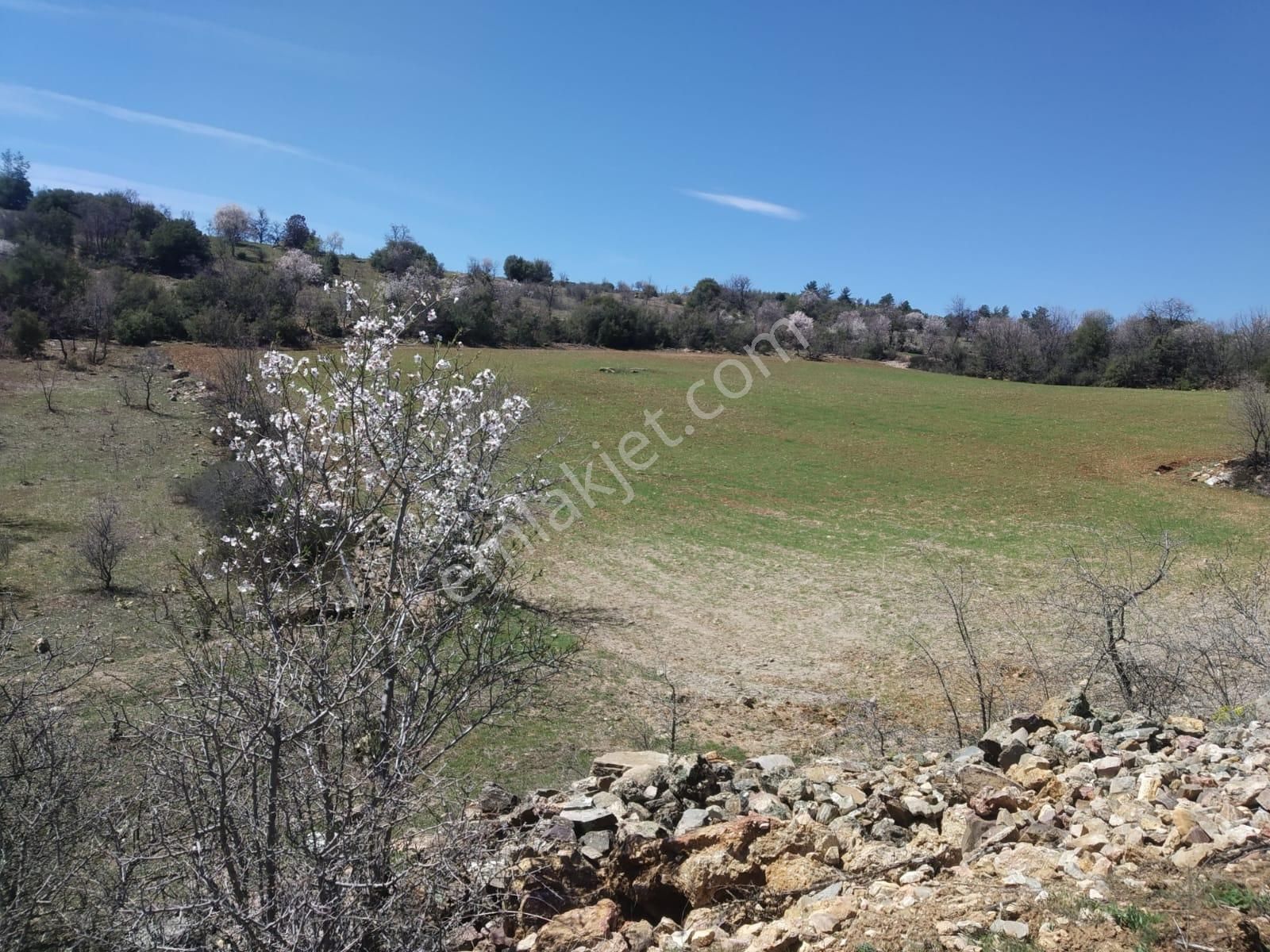 Myra Dan Çal Akkent Mah. De 15.333 M2 Satılık Tarla - Görsel 13
