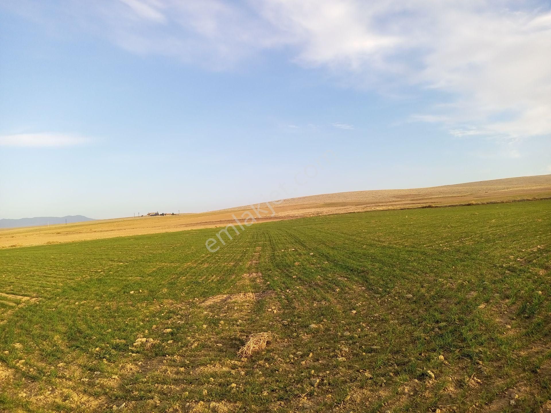 Afyonkarahisar Sultandağı Yenikarabag Köyü 3000 M2yolluarsa - Görsel 14