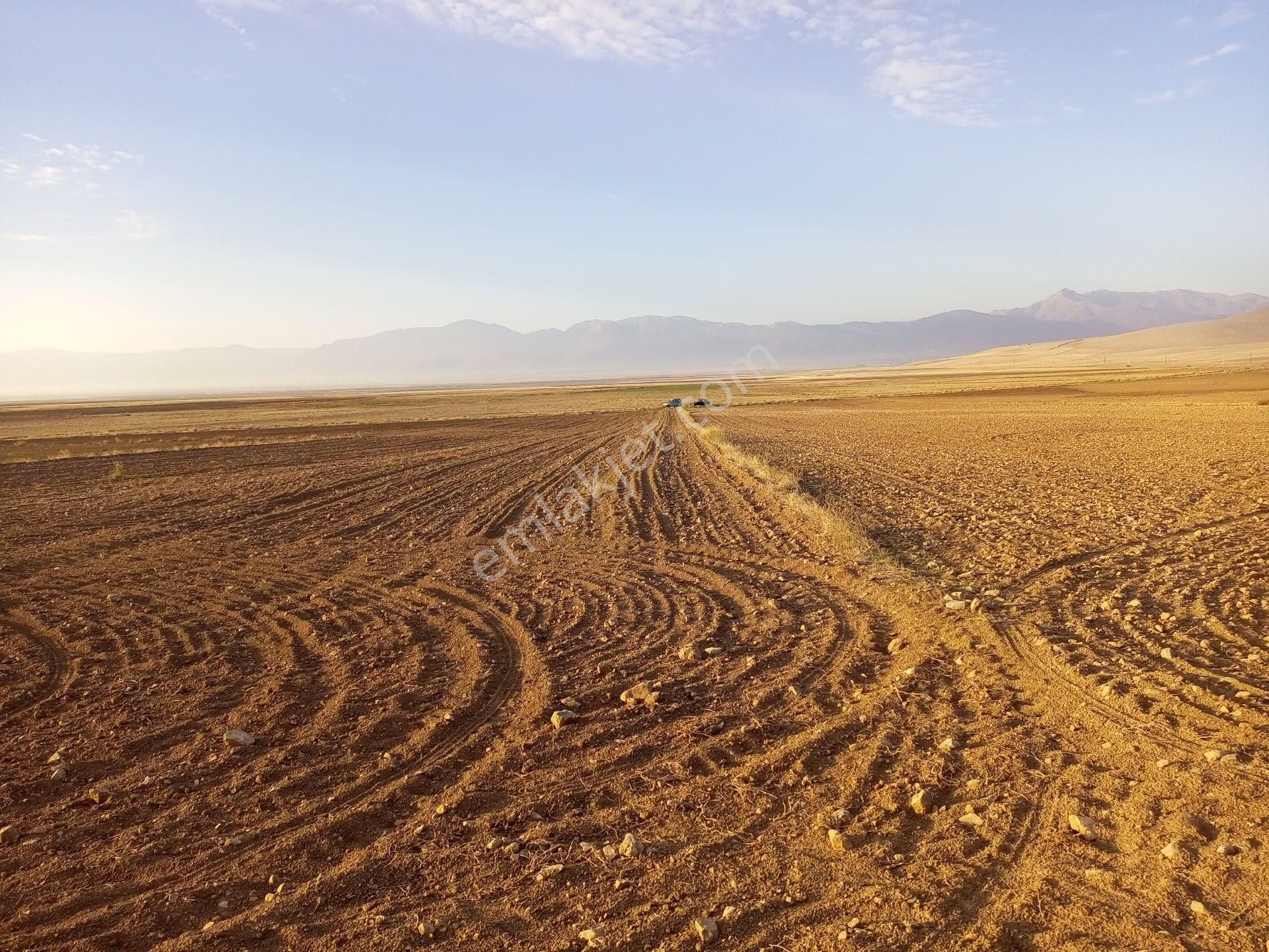 Afyonkarahisar Sultandağı Yenikarabag Köyü 3000 M2yolluarsa - Görsel 12