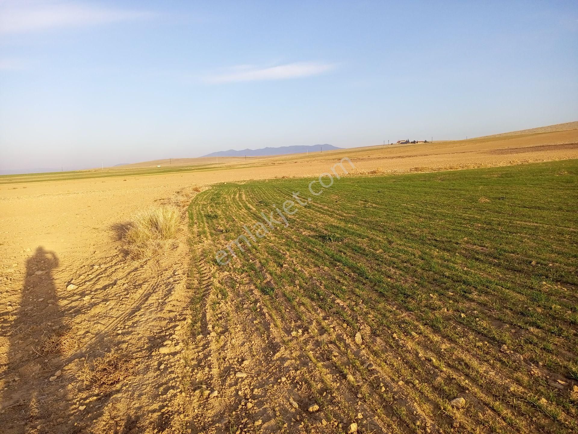 Afyonkarahisar Sultandağı Yenikarabag Köyü 3000 M2yolluarsa - Görsel 11