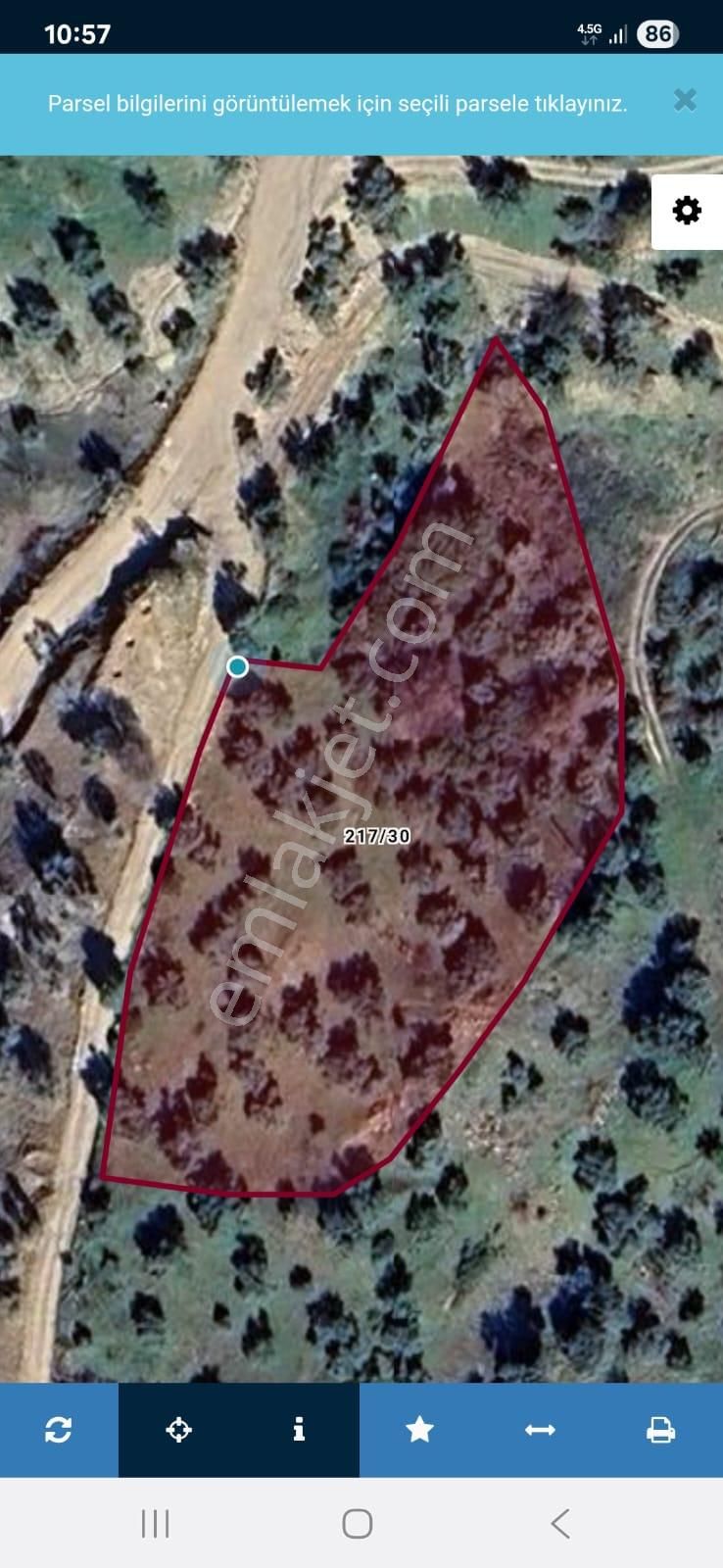 Satılık Zeytinlik Yaylapınar - Görsel 33