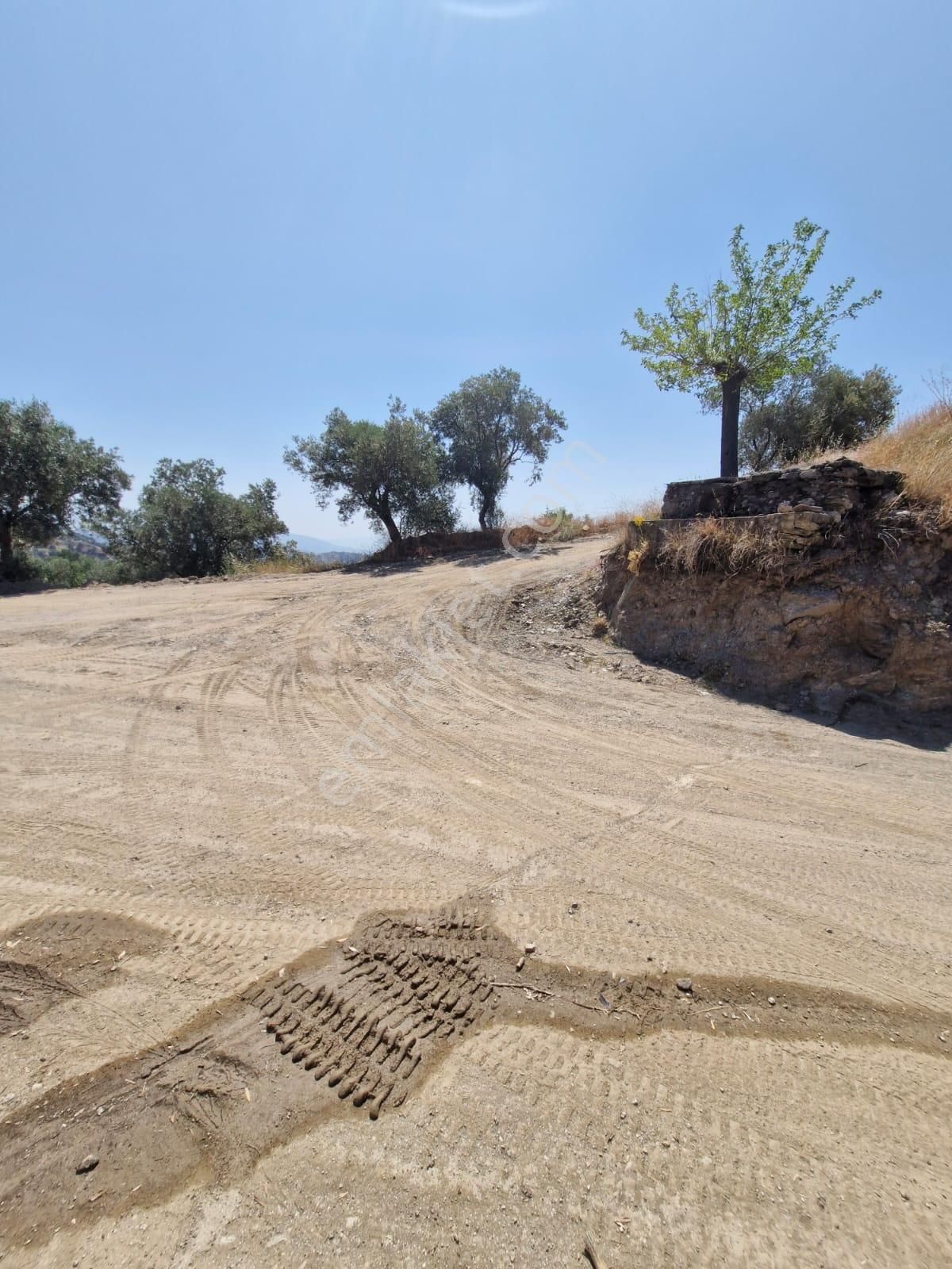 Satılık Zeytinlik Yaylapınar - Görsel 32