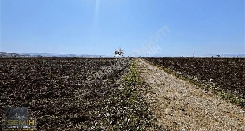 Semih'den Çayırda Şehrin Dibinde Gelecek Vaad Eden Arazii - Görsel 5
