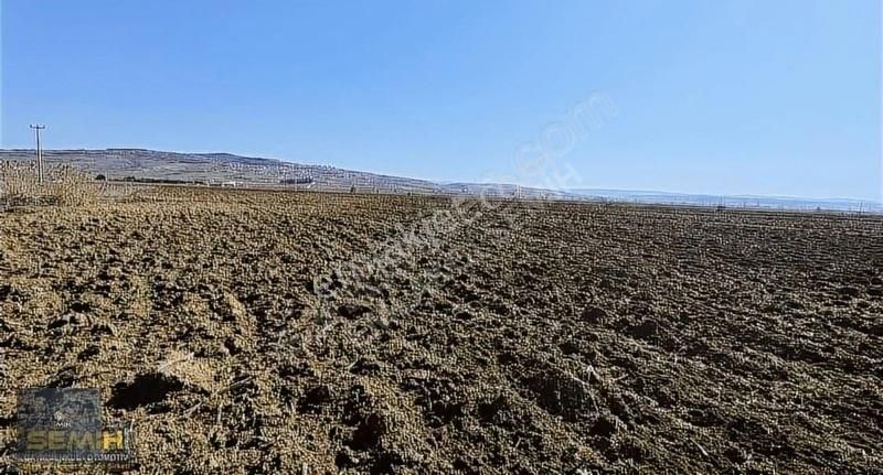 Semih'den Çayırda Şehrin Dibinde Gelecek Vaad Eden Arazii - Görsel 2