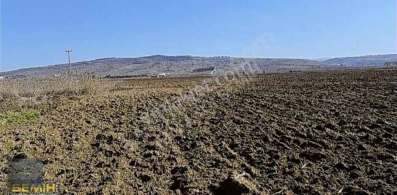 Semih'den Çayırda Şehrin Dibinde Gelecek Vaad Eden Arazii - Görsel 7