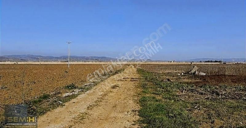 Semih'den Çayırda Şehrin Dibinde Gelecek Vaad Eden Arazii - Görsel 4