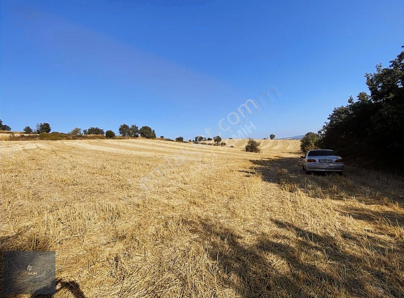 Semih'den Terzilerde Resmi Yola Cephe Açil Açil Kelepir Arazi - Görsel 7