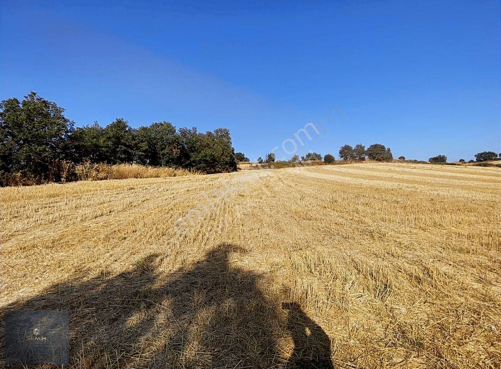 Semih'den Terzilerde Resmi Yola Cephe Açil Açil Kelepir Arazi - Görsel 5