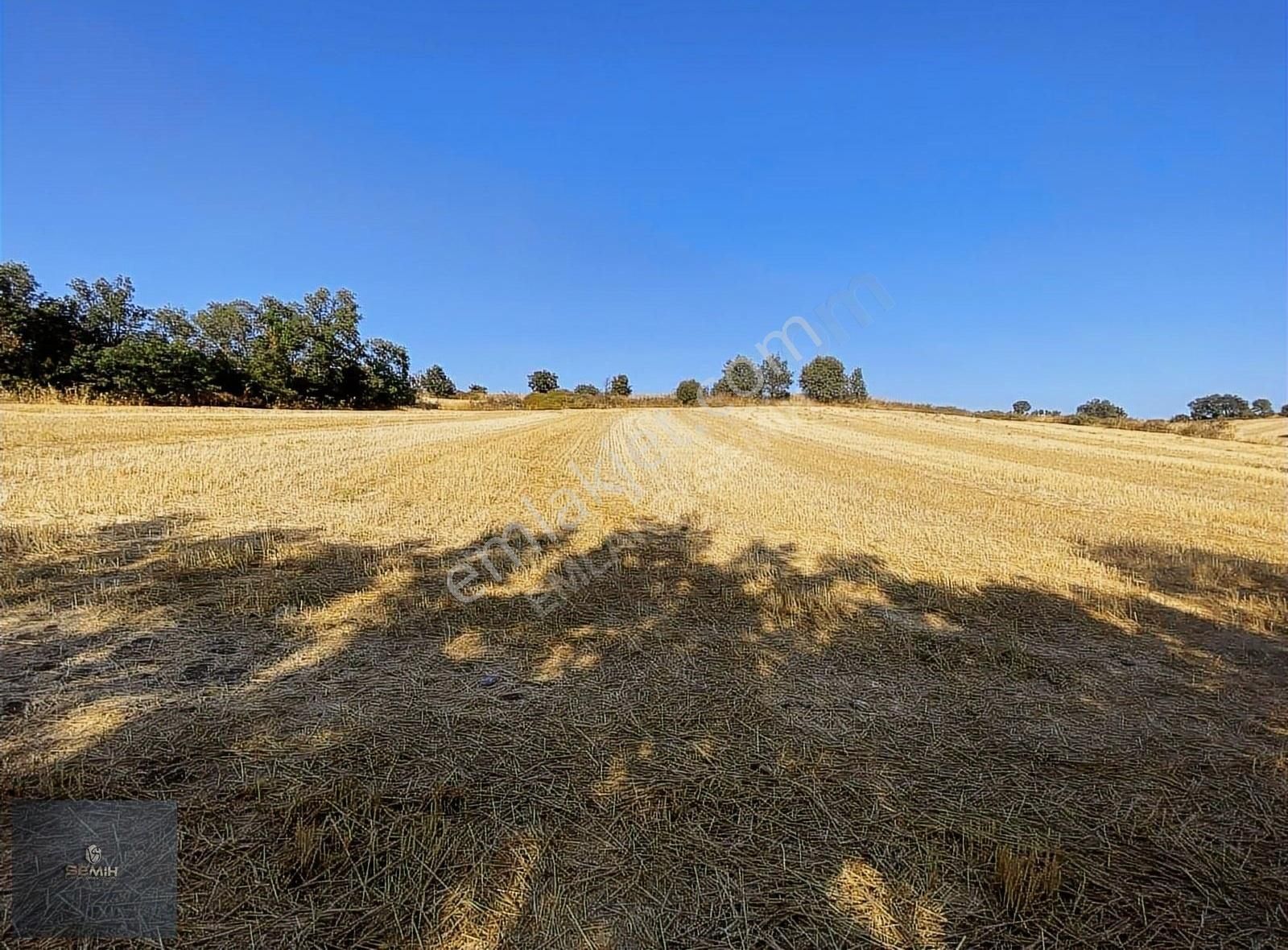 Semih'den Terzilerde Resmi Yola Cephe Açil Açil Kelepir Arazi - Görsel 9