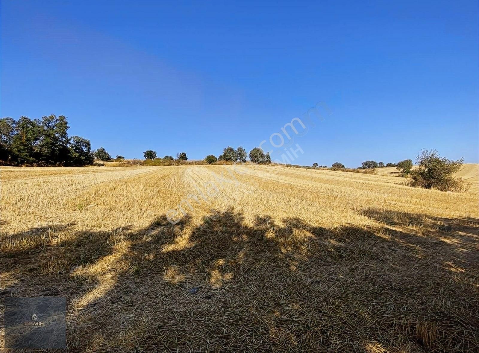 Semih'den Terzilerde Resmi Yola Cephe Açil Açil Kelepir Arazi - Görsel 20