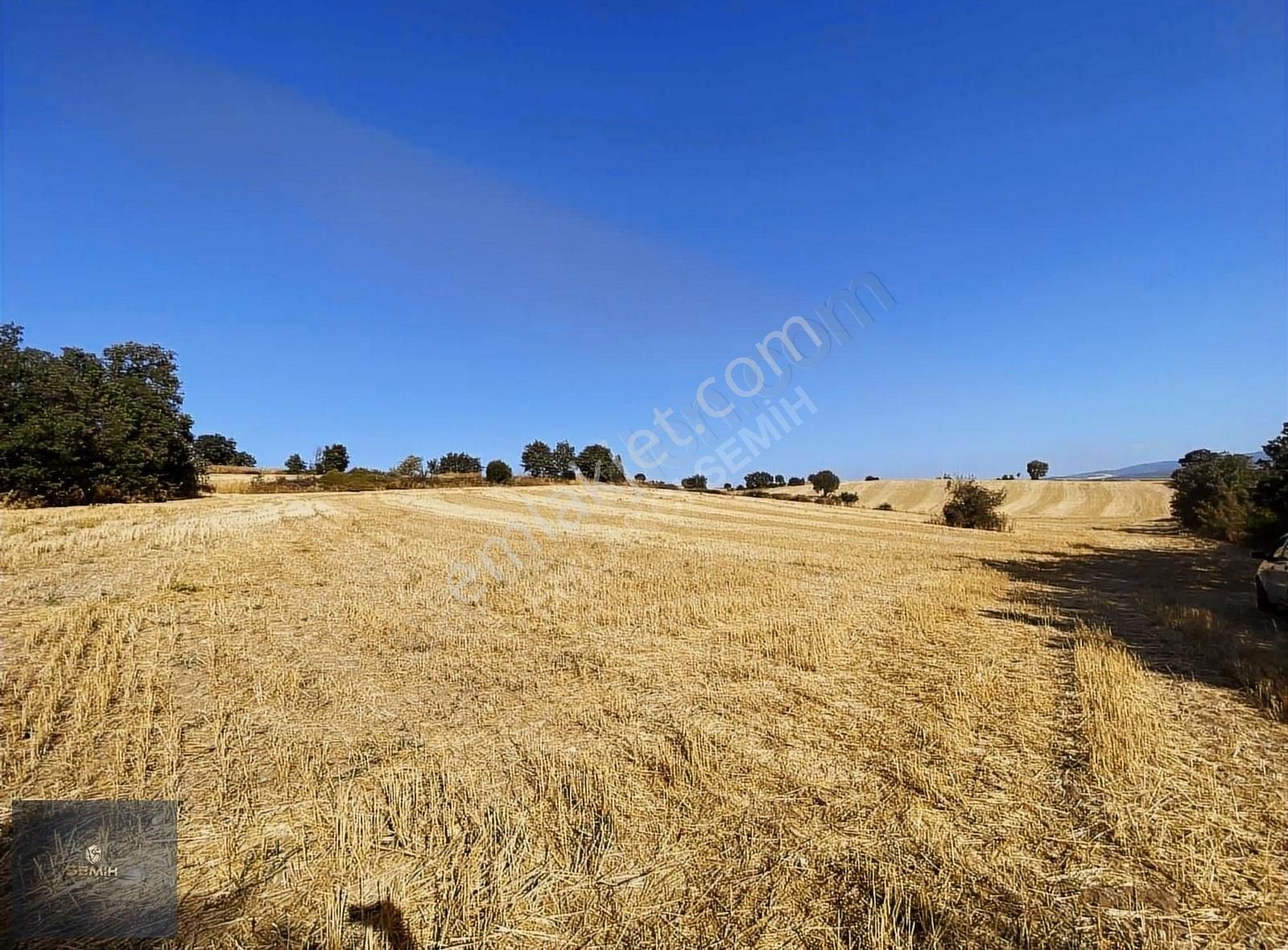 Semih'den Terzilerde Resmi Yola Cephe Açil Açil Kelepir Arazi - Görsel 13