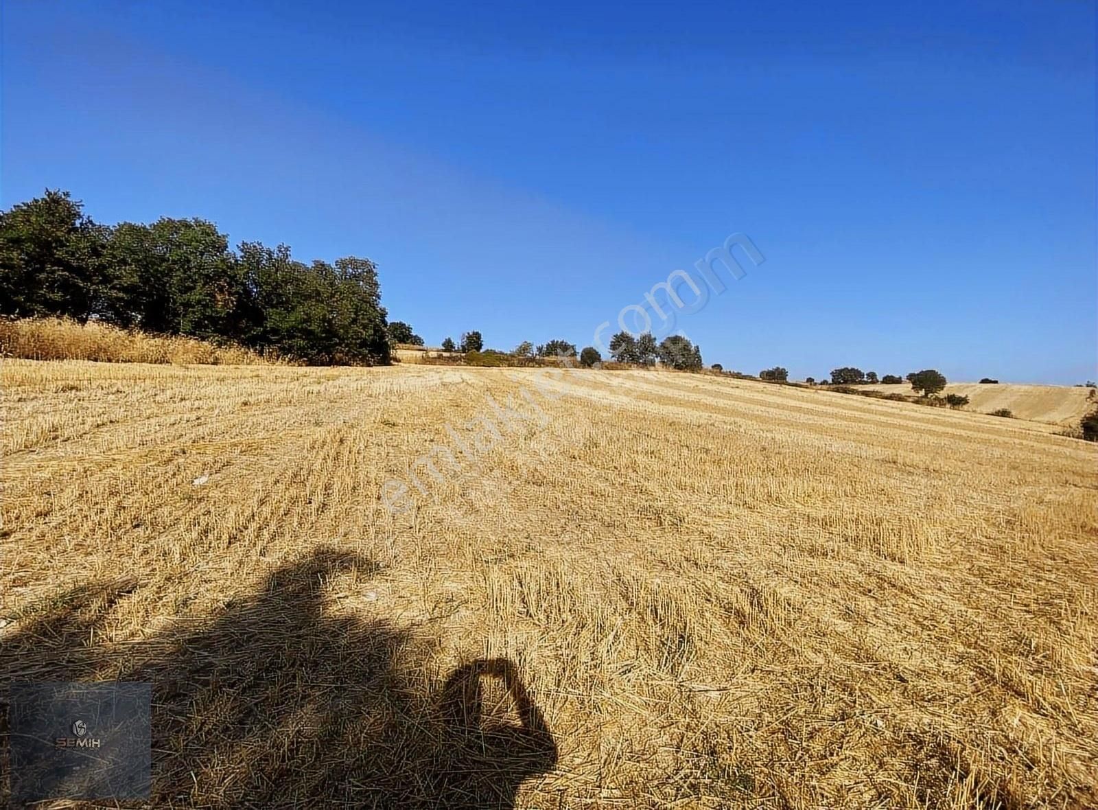 Semih'den Terzilerde Resmi Yola Cephe Açil Açil Kelepir Arazi - Görsel 16