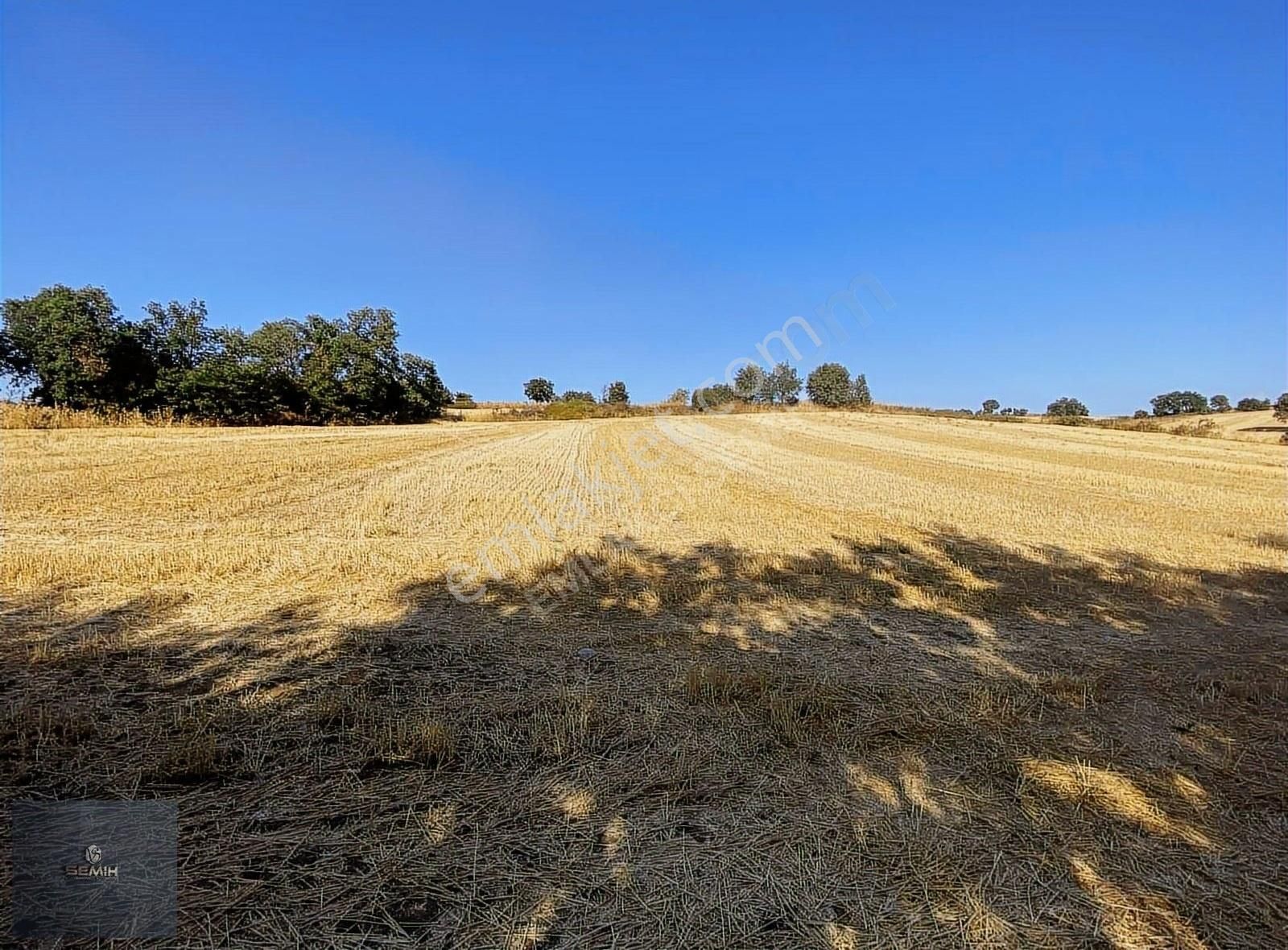 Semih'den Terzilerde Resmi Yola Cephe Açil Açil Kelepir Arazi - Görsel 6