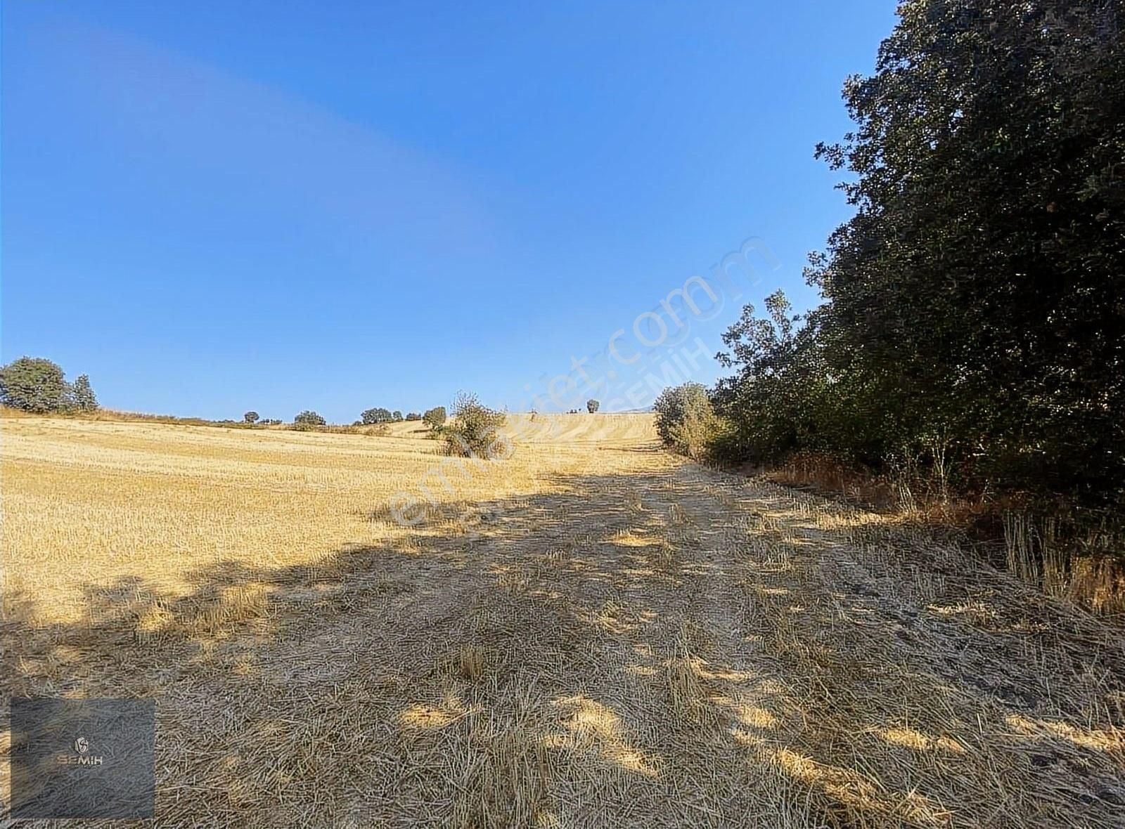 Semih'den Terzilerde Resmi Yola Cephe Açil Açil Kelepir Arazi - Görsel 15