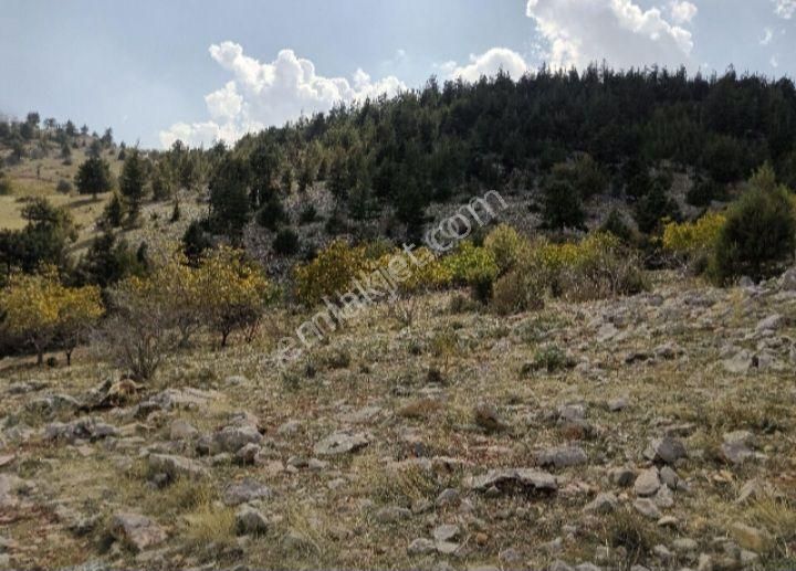 Mersin Erdemli Sorgun Mah.acil Satılık 22290 M.kare Tarla - Görsel 7