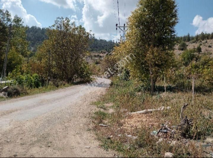 Mersin Erdemli Sorgun Mah.acil Satılık 22290 M.kare Tarla - Görsel 3