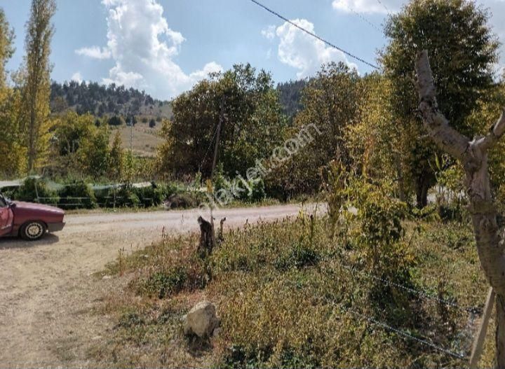 Mersin Erdemli Sorgun Mah.acil Satılık 22290 M.kare Tarla