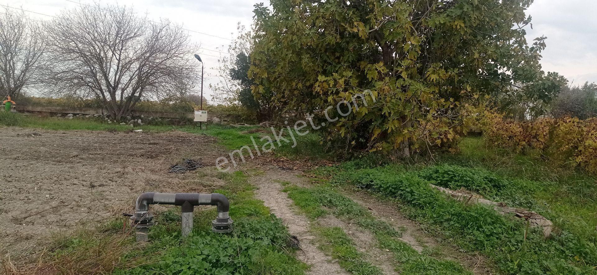 Karaçay Mevkiinde Satılık Bağ Tarla - Görsel 10