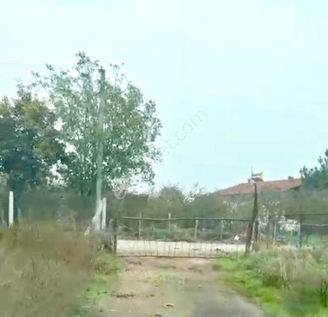 Hendek'de Satılık 5 Dönüm Fındıklık,son Fiyat,son Fırsat... - Görsel 8