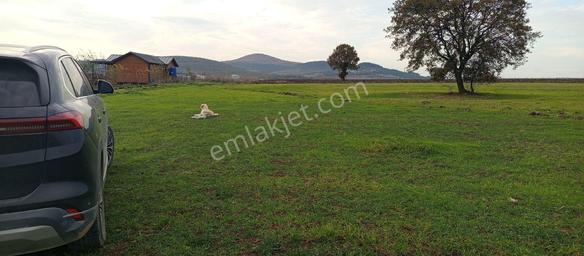Çatalağıl Mahallesi Satılık 6.100 Mt2 Tek Tapu Müstakil Tarla - Görsel 7