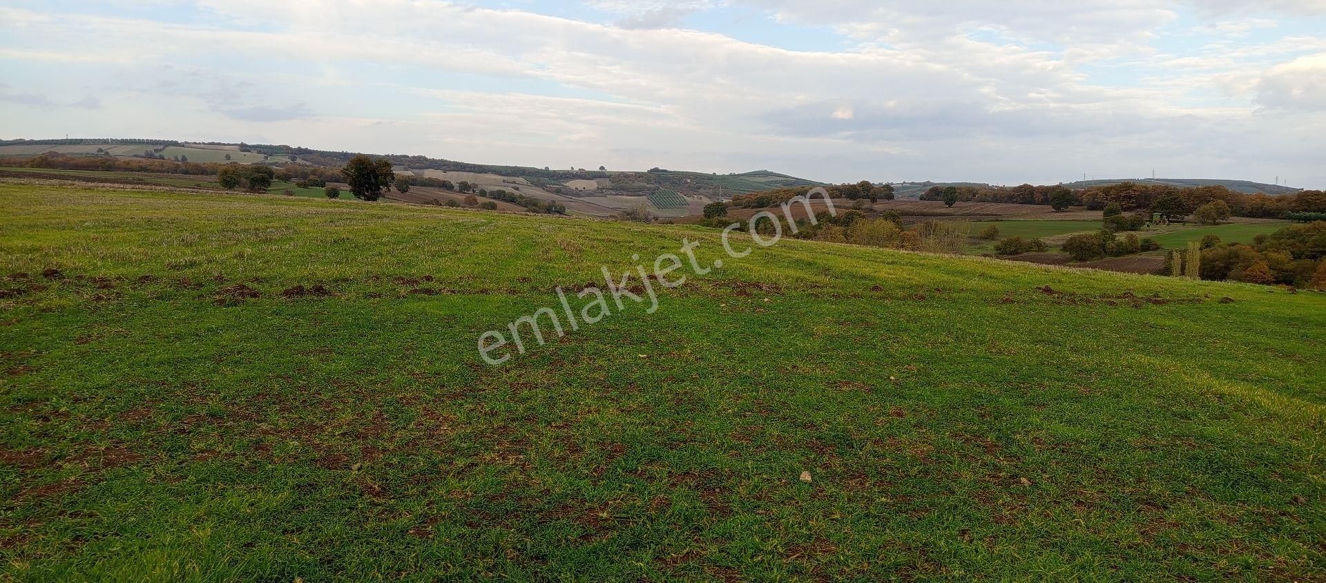 Çatalağıl Mahallesi Satılık 6.100 Mt2 Tek Tapu Müstakil Tarla - Görsel 11