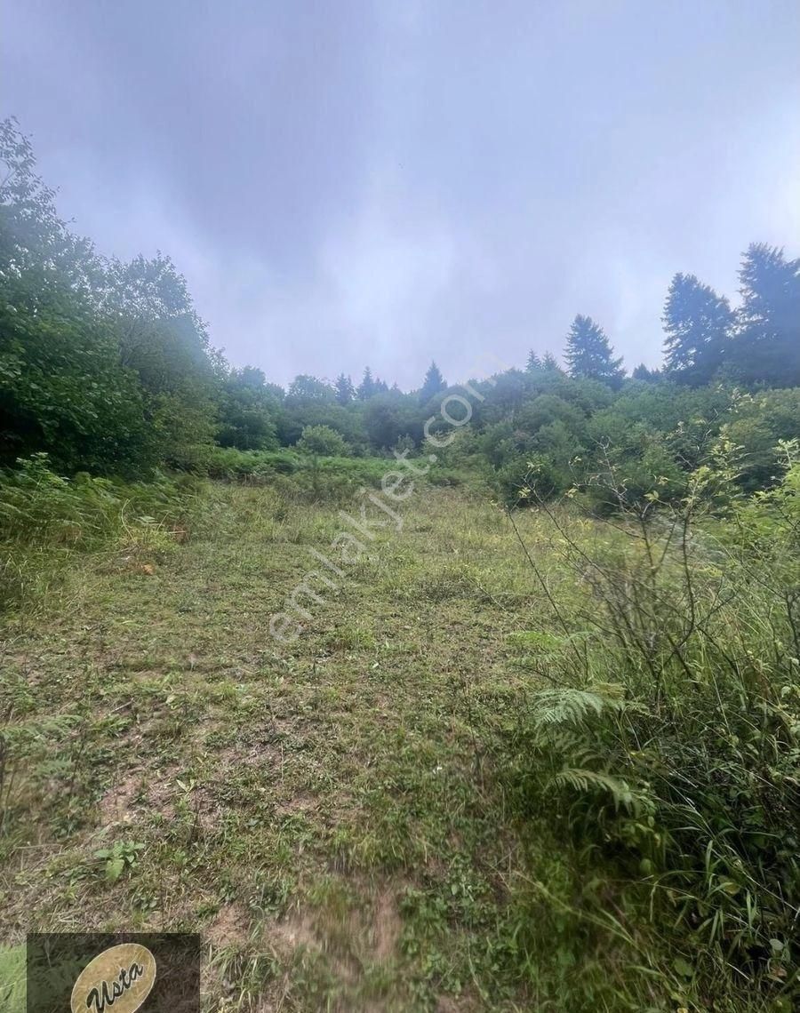 Çat Köyünde Tek Tapu Fırtına Deresi Yakını Yola Sıfır Arsa... - Görsel 5