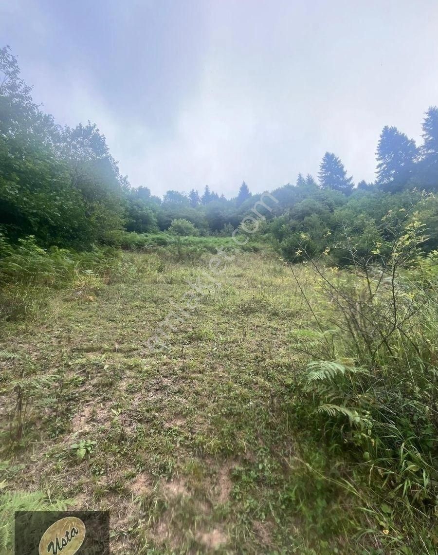 Çat Köyünde Tek Tapu Fırtına Deresi Yakını Yola Sıfır Arsa... - Görsel 10