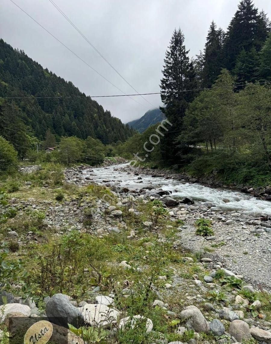 Çat Köyünde Tek Tapu Fırtına Deresi Yakını Yola Sıfır Arsa... - Görsel 7