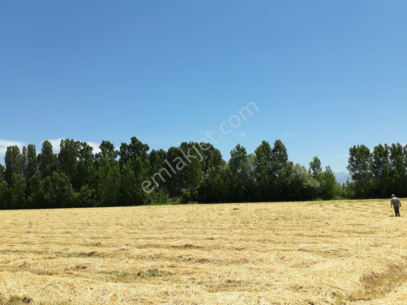 Tokat Bahçebaşın'da 56 Dönüm Çok Verimli Topraklı Anayol Kenarı - Görsel 4