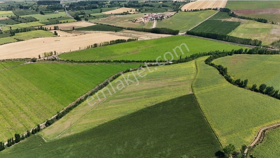 Tokat Bahçebaşın'da 56 Dönüm Çok Verimli Topraklı Anayol Kenarı - Görsel 3