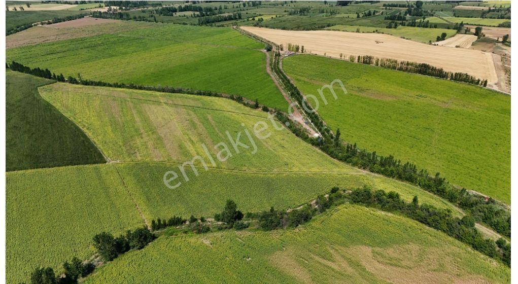 Tokat Bahçebaşın'da 56 Dönüm Çok Verimli Topraklı Anayol Kenarı