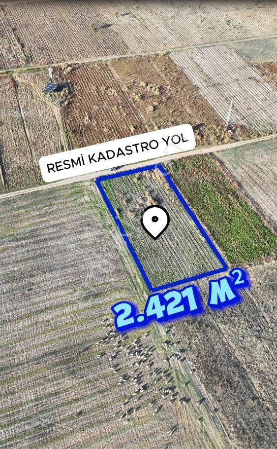 Şahin Emlaktan Denizli Acıpayam Akalan Mah. Satılık 2.421 M² Tarla - Görsel 4